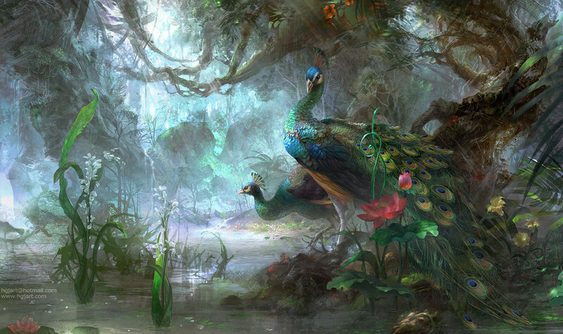 Peacocks in Jungle