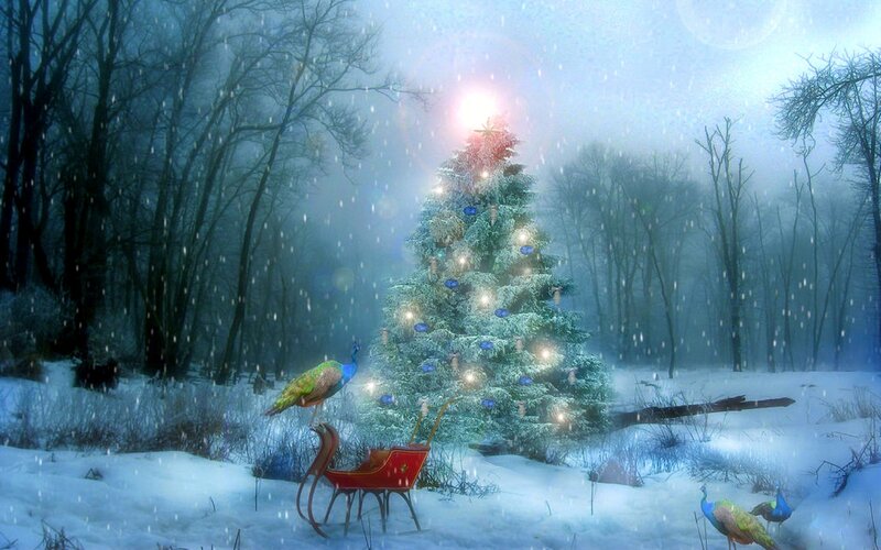Peacocks Near Christmas Tree