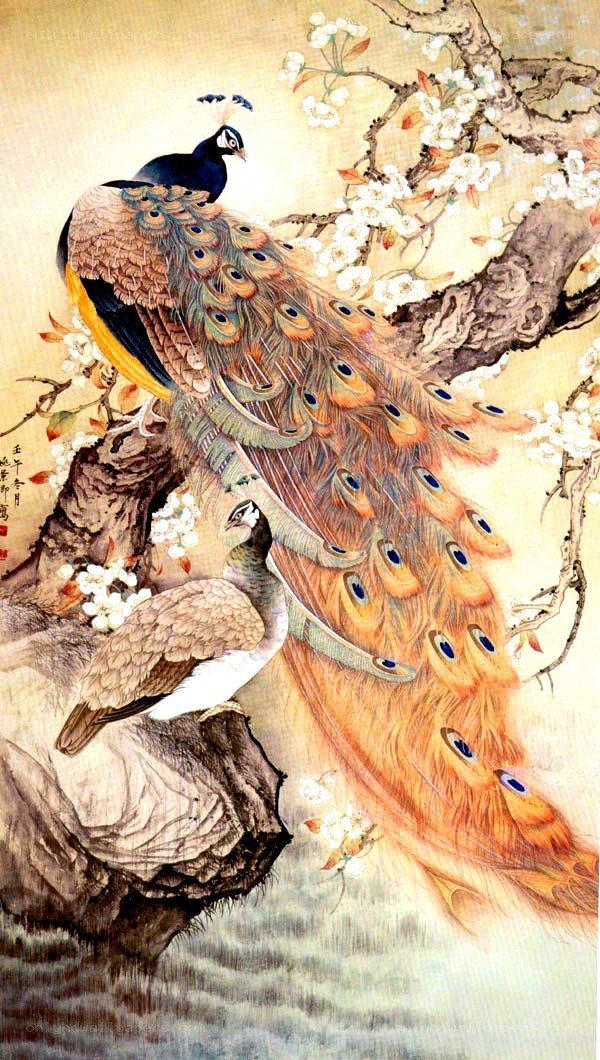 Peacocks on a blossoming branch