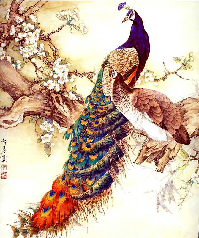 Peacocks on a blossoming branch
