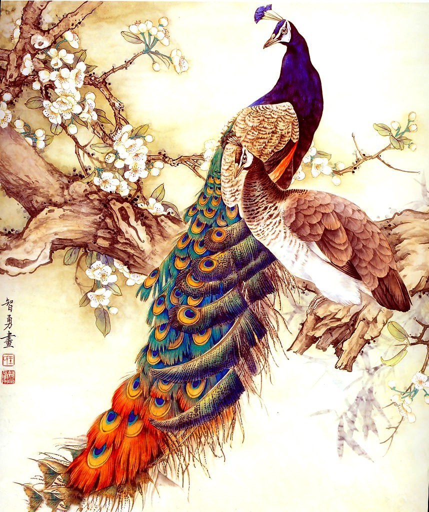 Peacocks on a blossoming branch