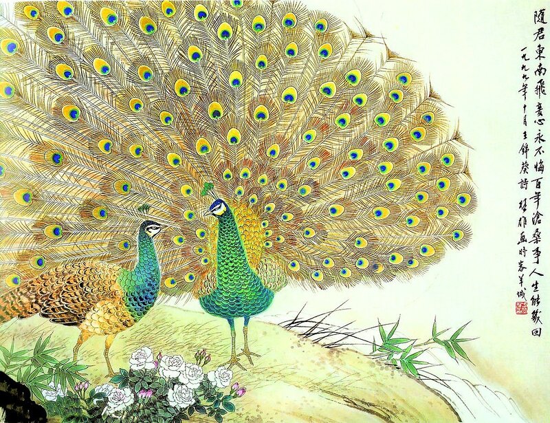 Peacocks with fan tail