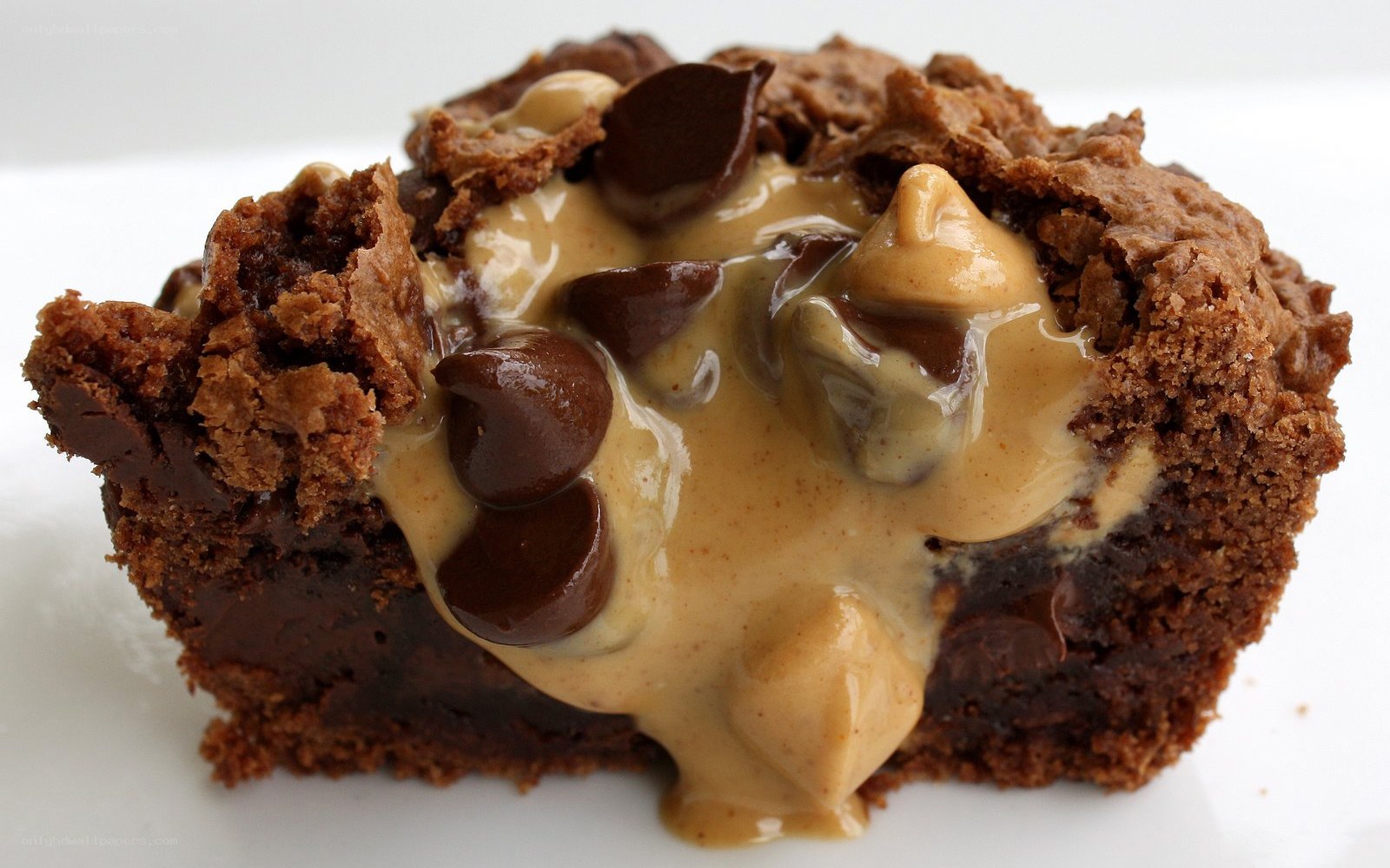 peanut butter chocolate brownie