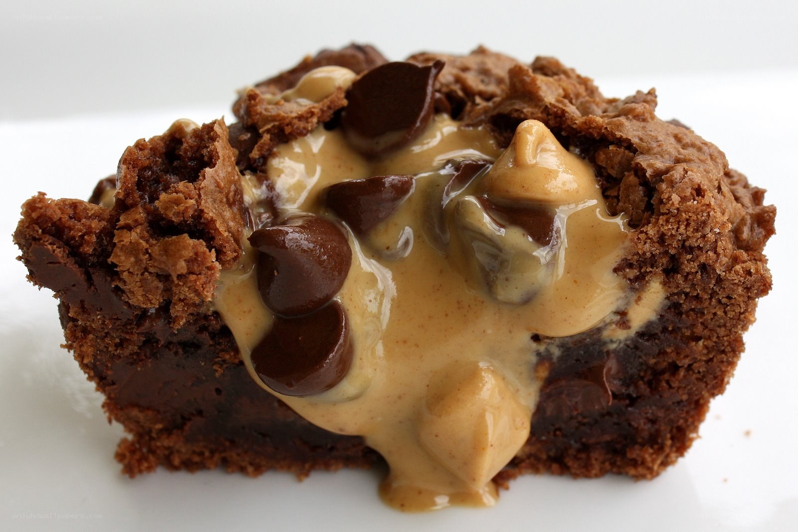 peanut butter chocolate brownie