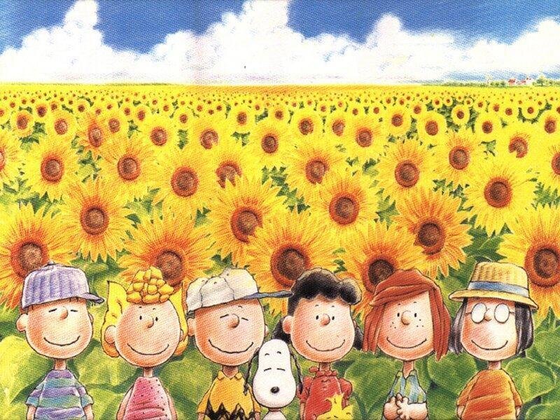 Peanuts gang in sunflower field