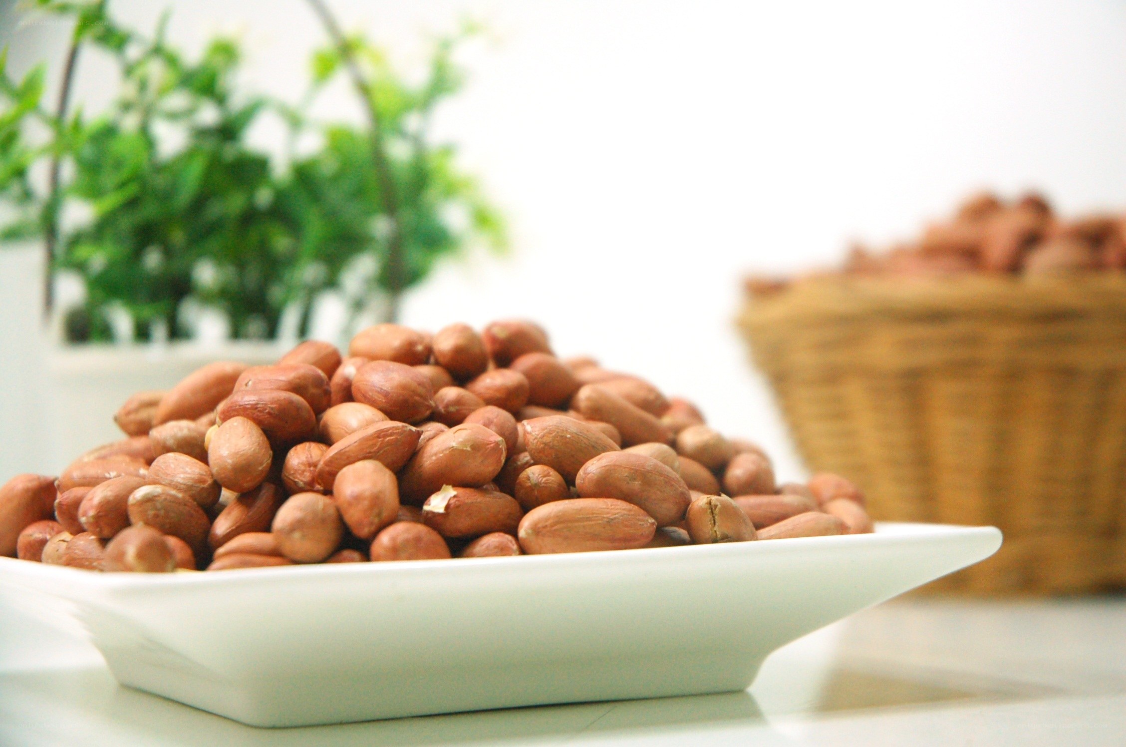Peanuts in a white bowl