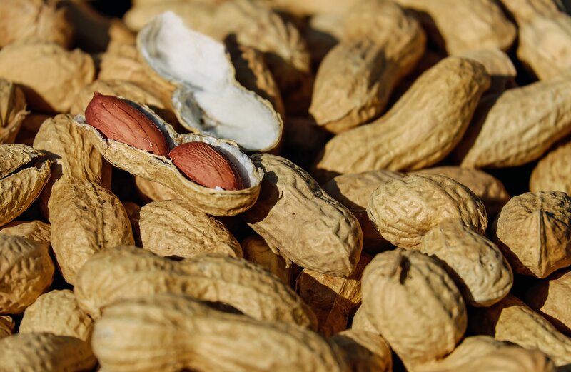 peanuts in shell close-up