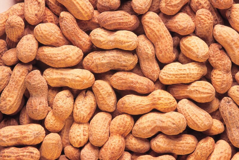 Peanuts in Shells