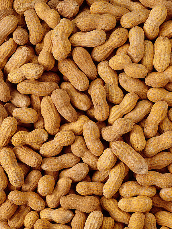 Peanuts in their shells