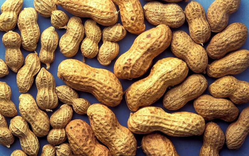 Peanuts in their shells