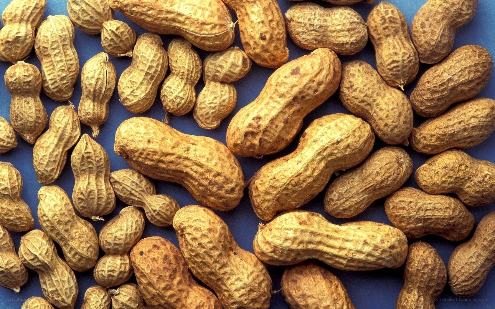 Peanuts in their shells