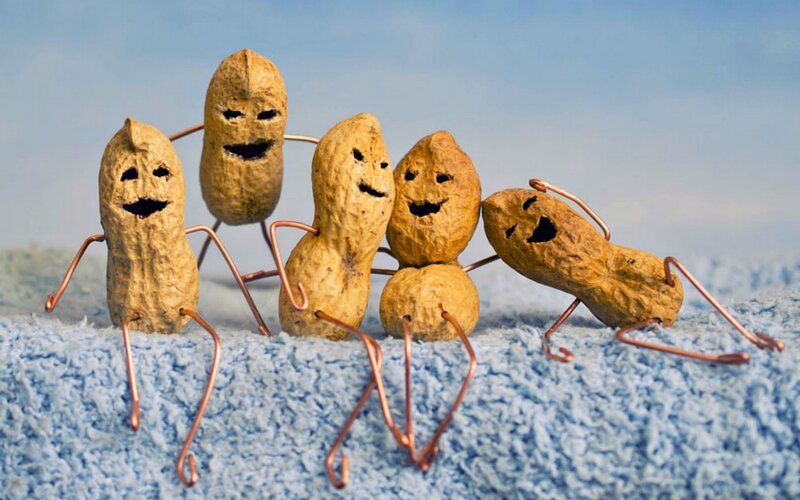 Peanuts with Wire Limbs