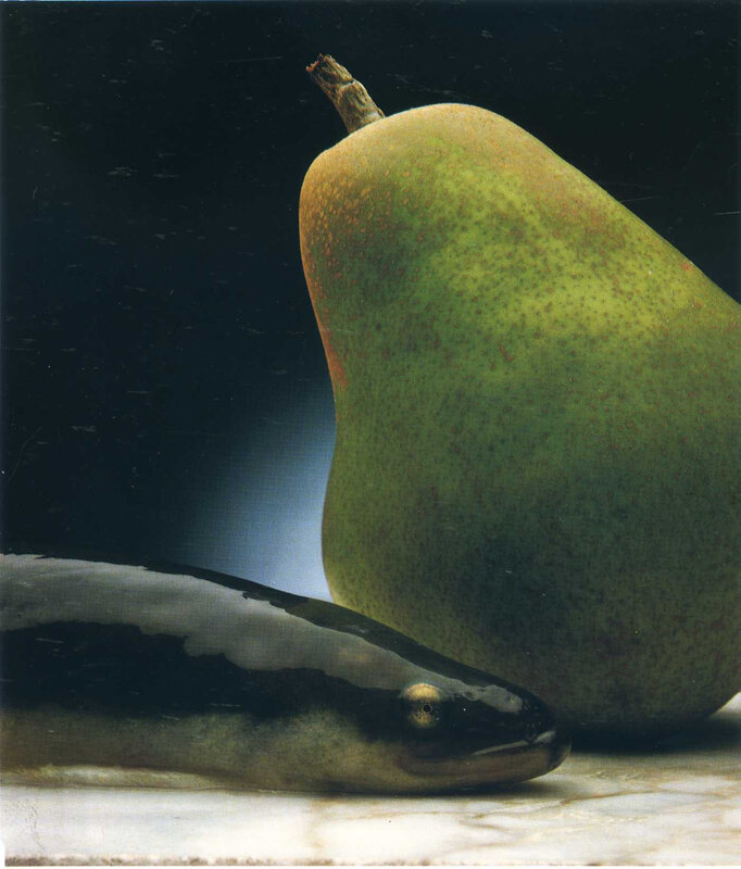 pear and fish on marble