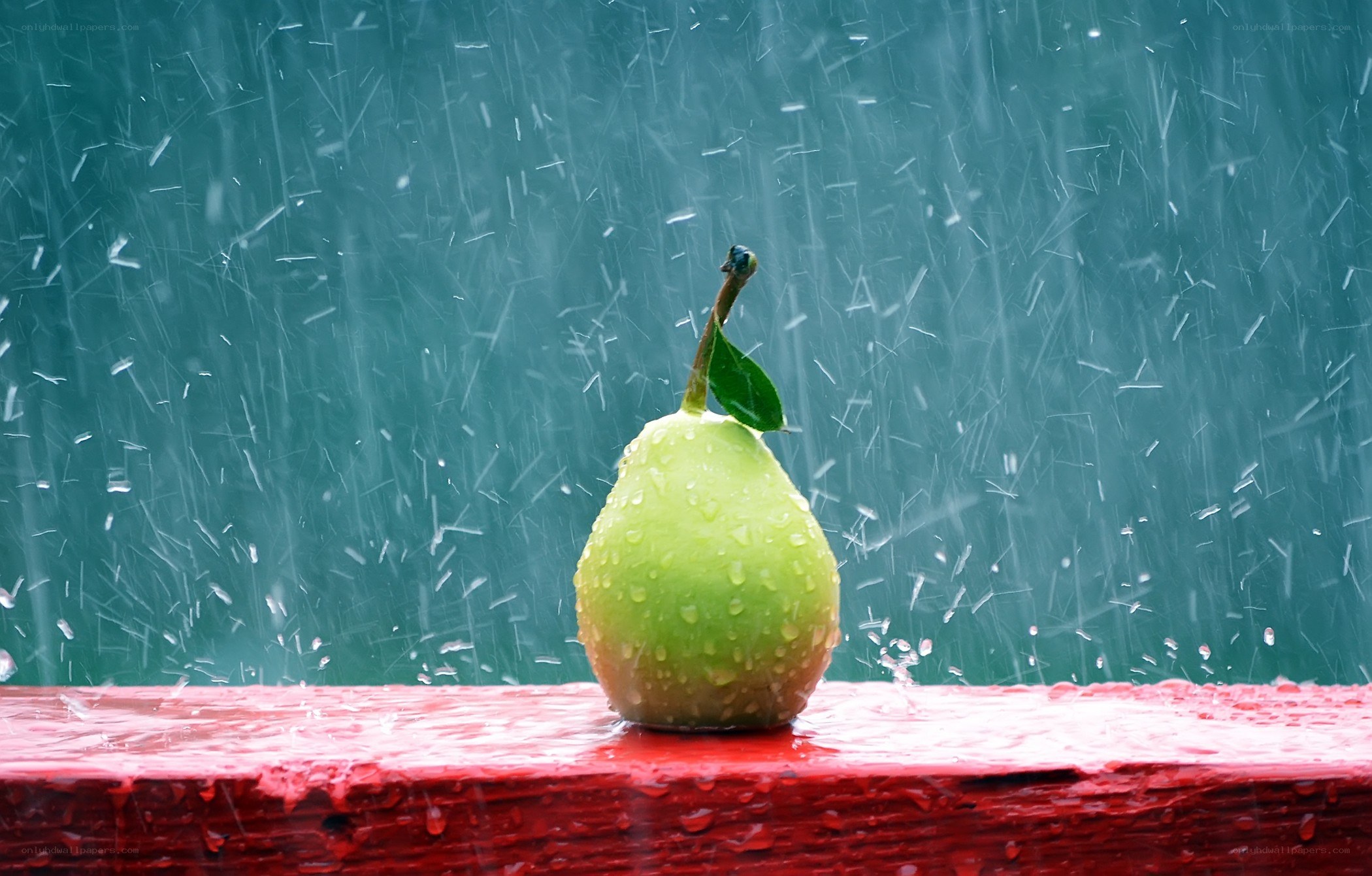 pear in the rain