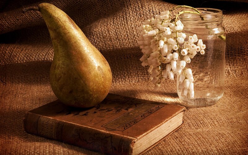 Pear on Book — Brown
