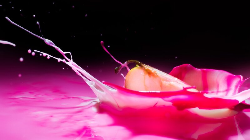 Pear Slice in Liquid — Pink