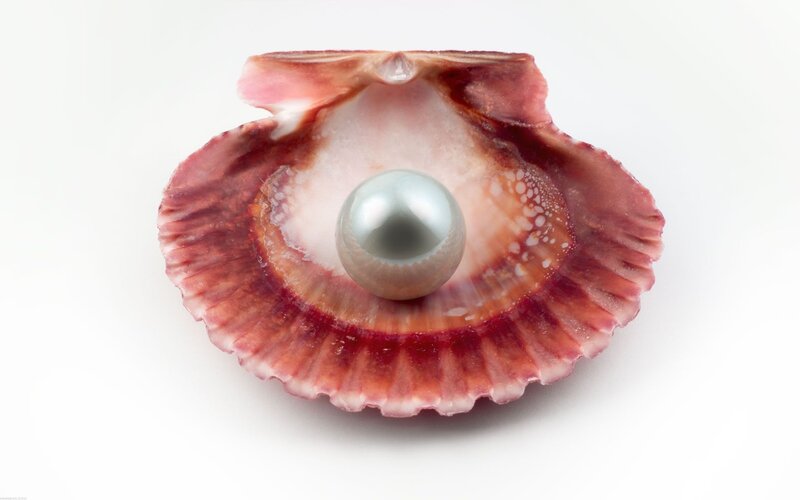 pearl in a scallop shell