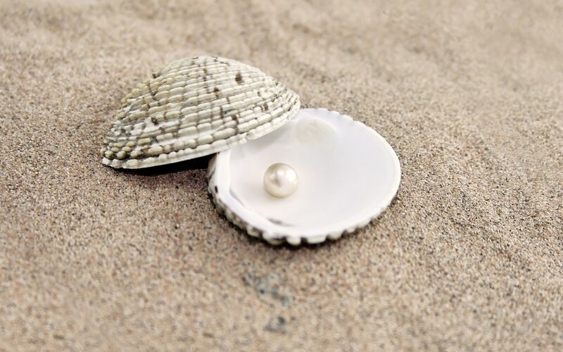 Pearl in Clam Shell