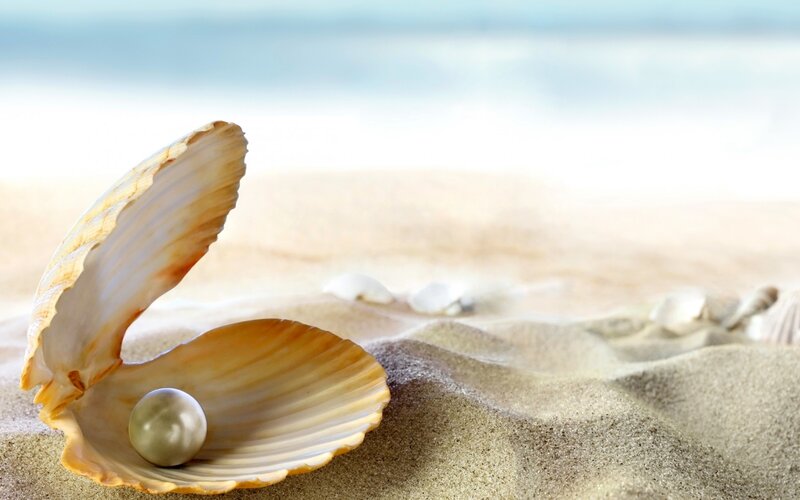 Pearl in Open Shell — Beige