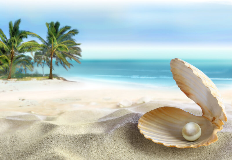 Pearl in Open Shell — Blue