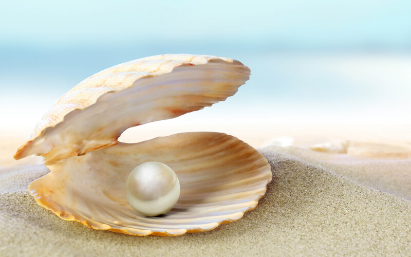 Pearl in Open Shell