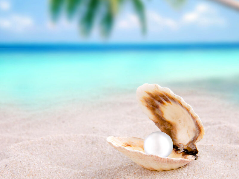 Pearl in Oyster Shell — White