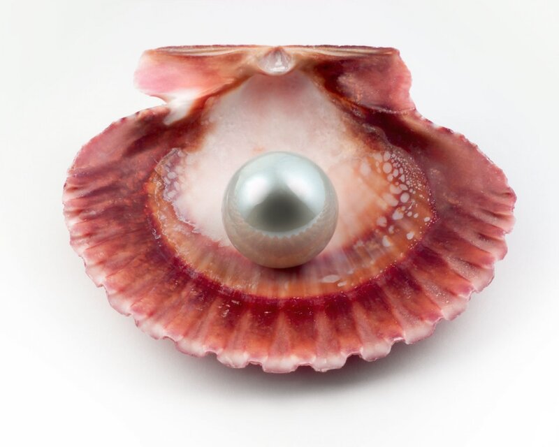 pearl in scallop shell