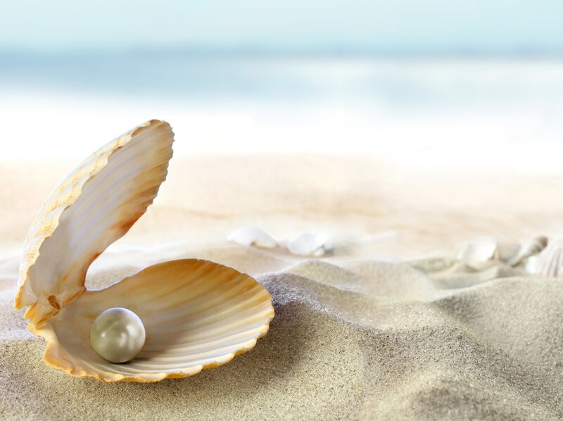 Pearl in Seashell — Beige, Serene