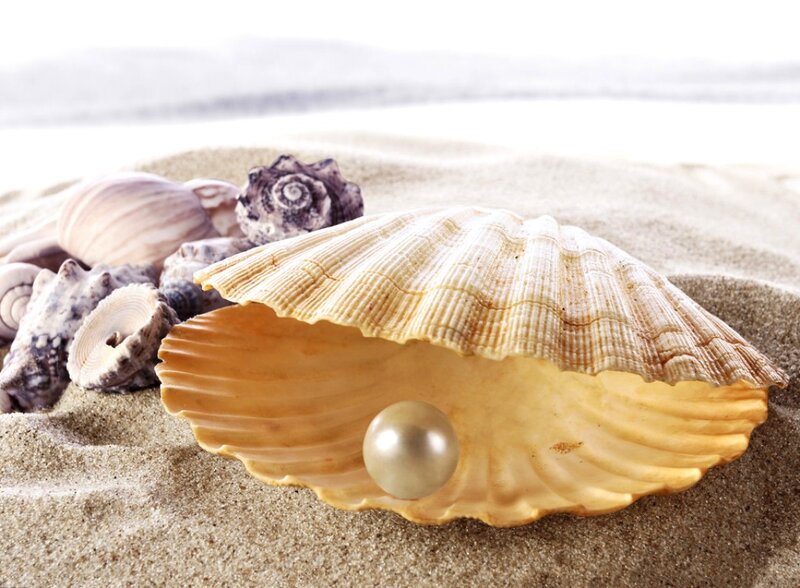 Pearl in Seashell — Beige