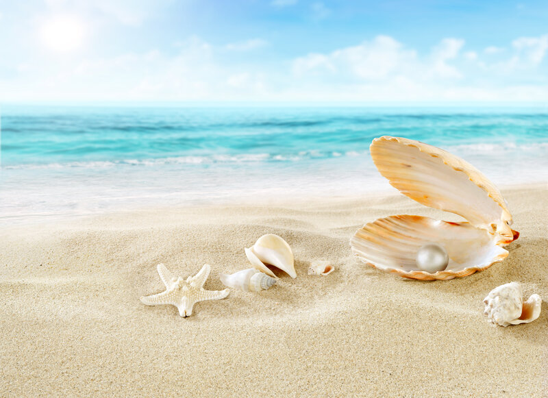 Pearl in Seashell — Blue, Serene