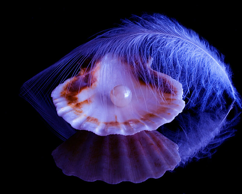 Pearl in Seashell — Blue