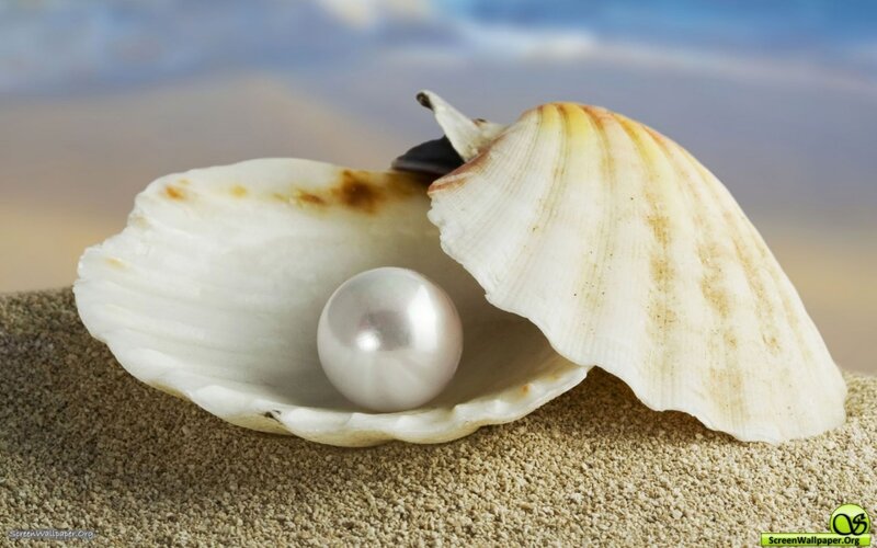 Pearl in Seashell — White, Serene, Afternoon, Photograph, Sand, Shell