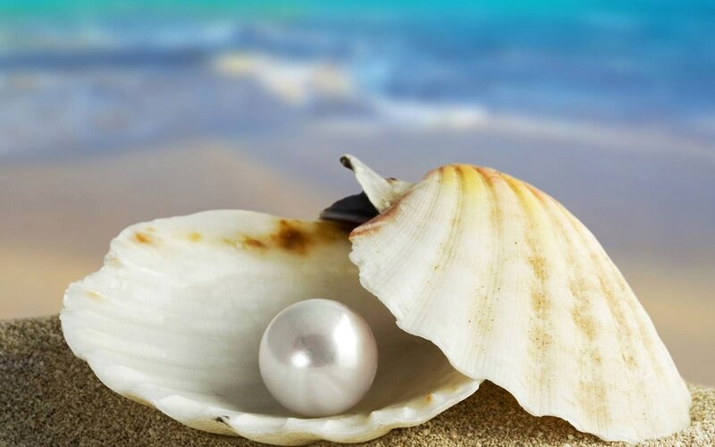 Pearl in Seashell — White, Serene, Afternoon