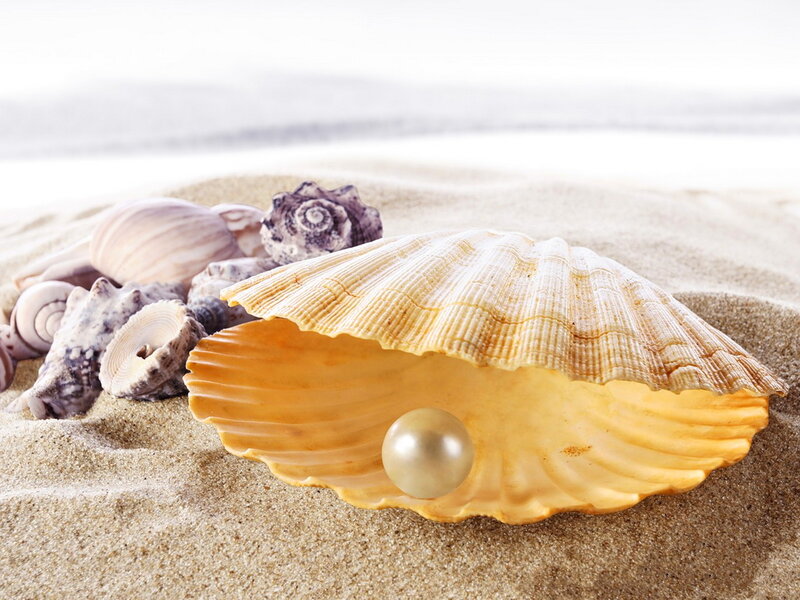 Pearl in Seashell — Yellow