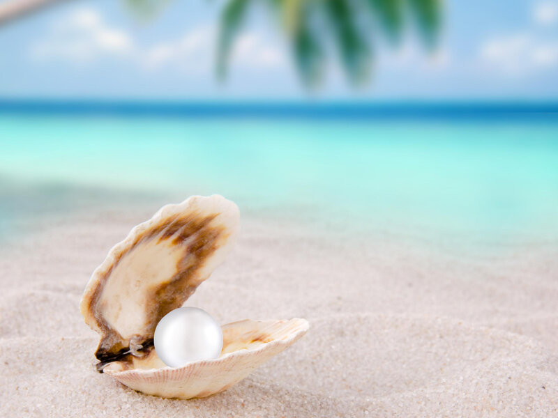 Pearl in Shell on Beach