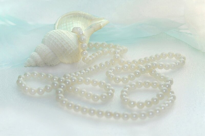 Pearl Necklace and Seashell — White