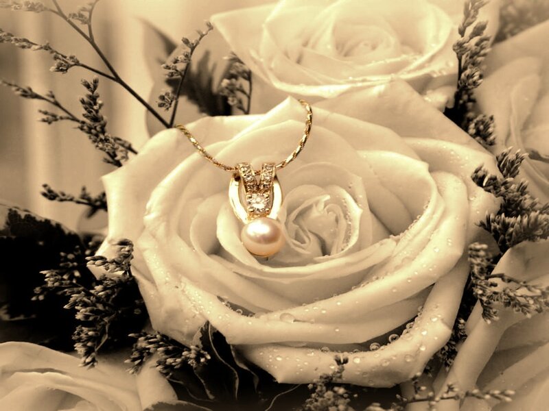 Pearl Necklace on Rose