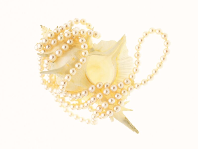 pearl necklace on seashell