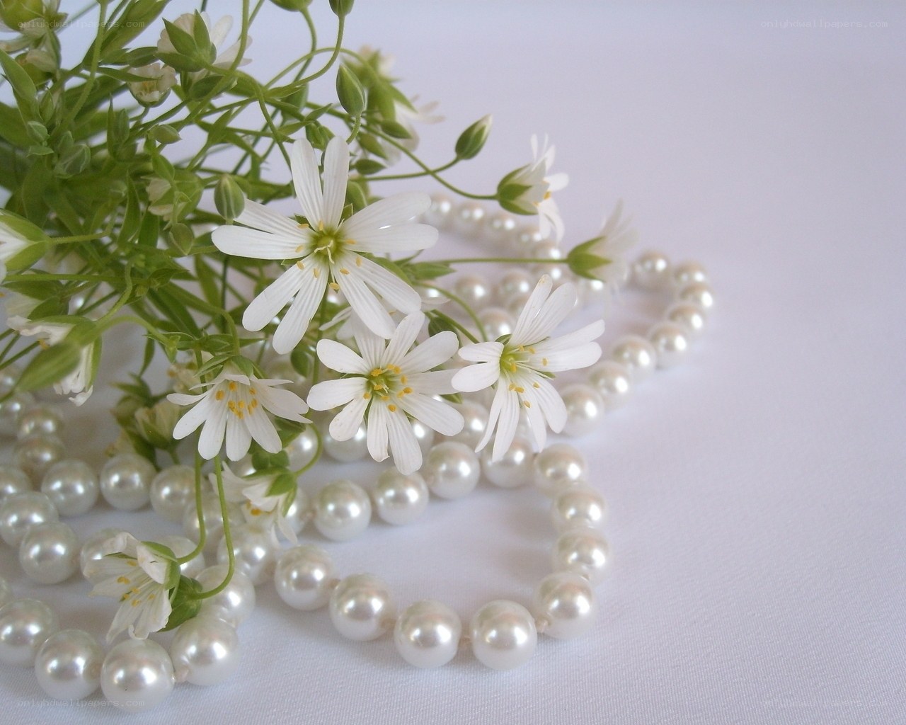 pearl necklace with white flowers