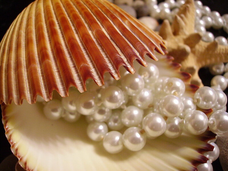 pearls in a seashell