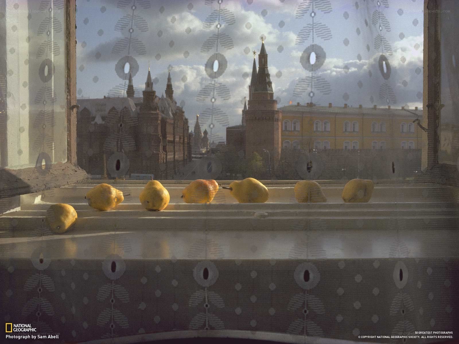 Pears on a windowsill in Moscow