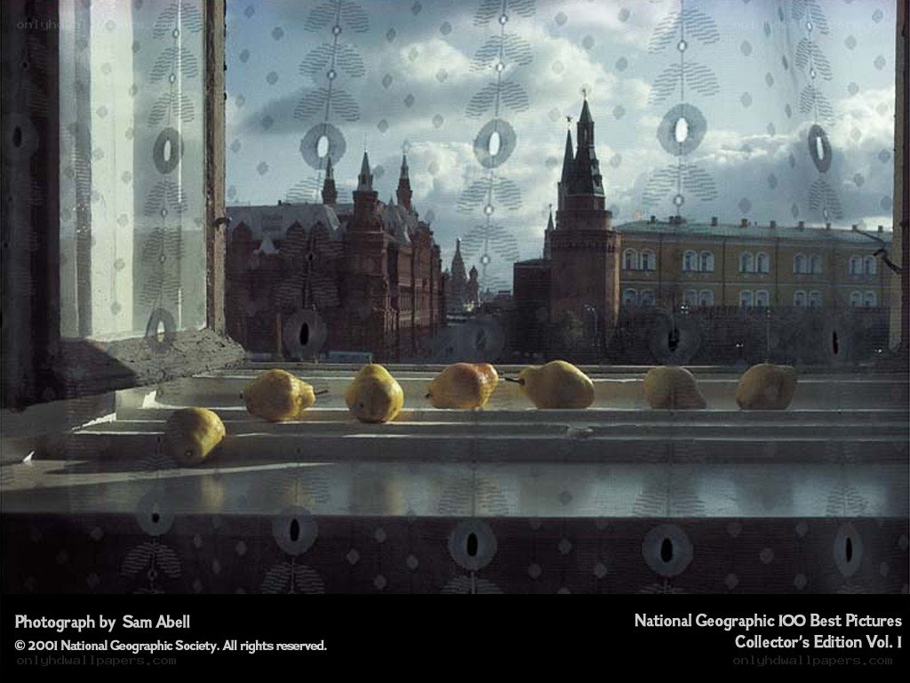 Pears on a windowsill in Moscow