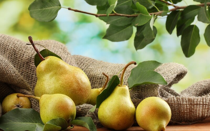 Pears on Burlap