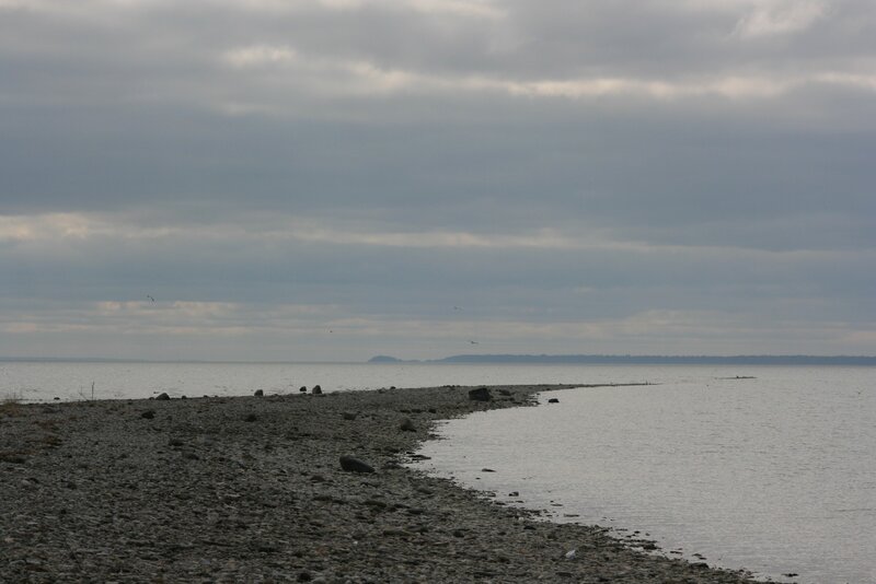 Pebble Beach at Coast — Gray