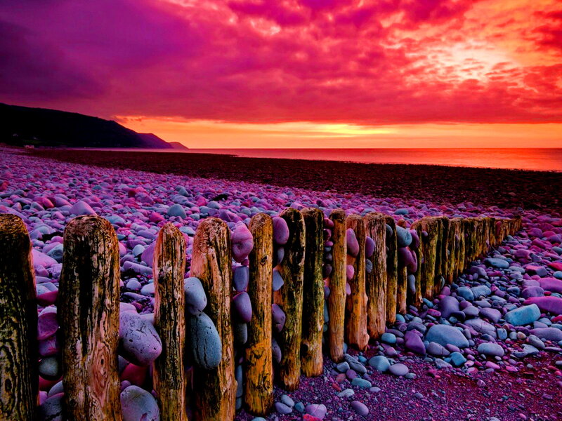 Pebble Beach at Sunset — Purple, Dramatic, Photograph