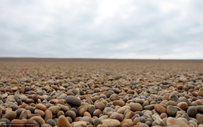 pebble beach under cloudy sky