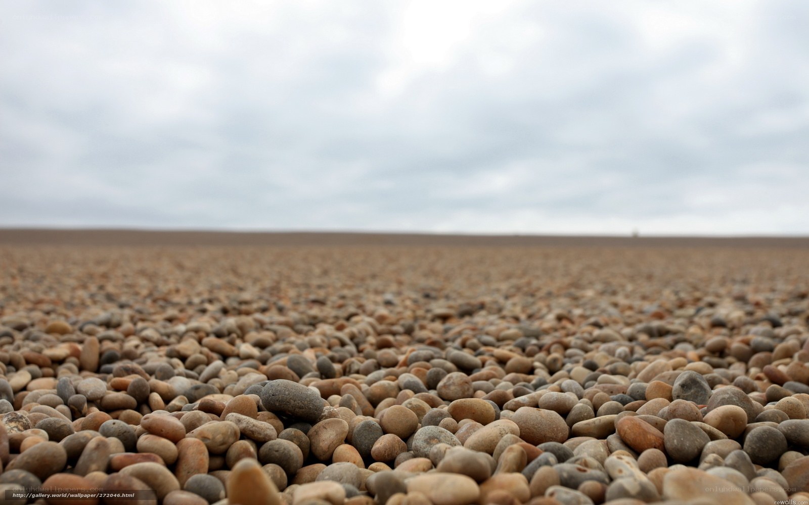pebble beach under cloudy sky