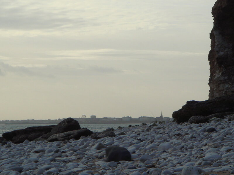 pebble beach with distant city