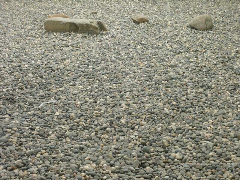 pebble beach with scattered rocks