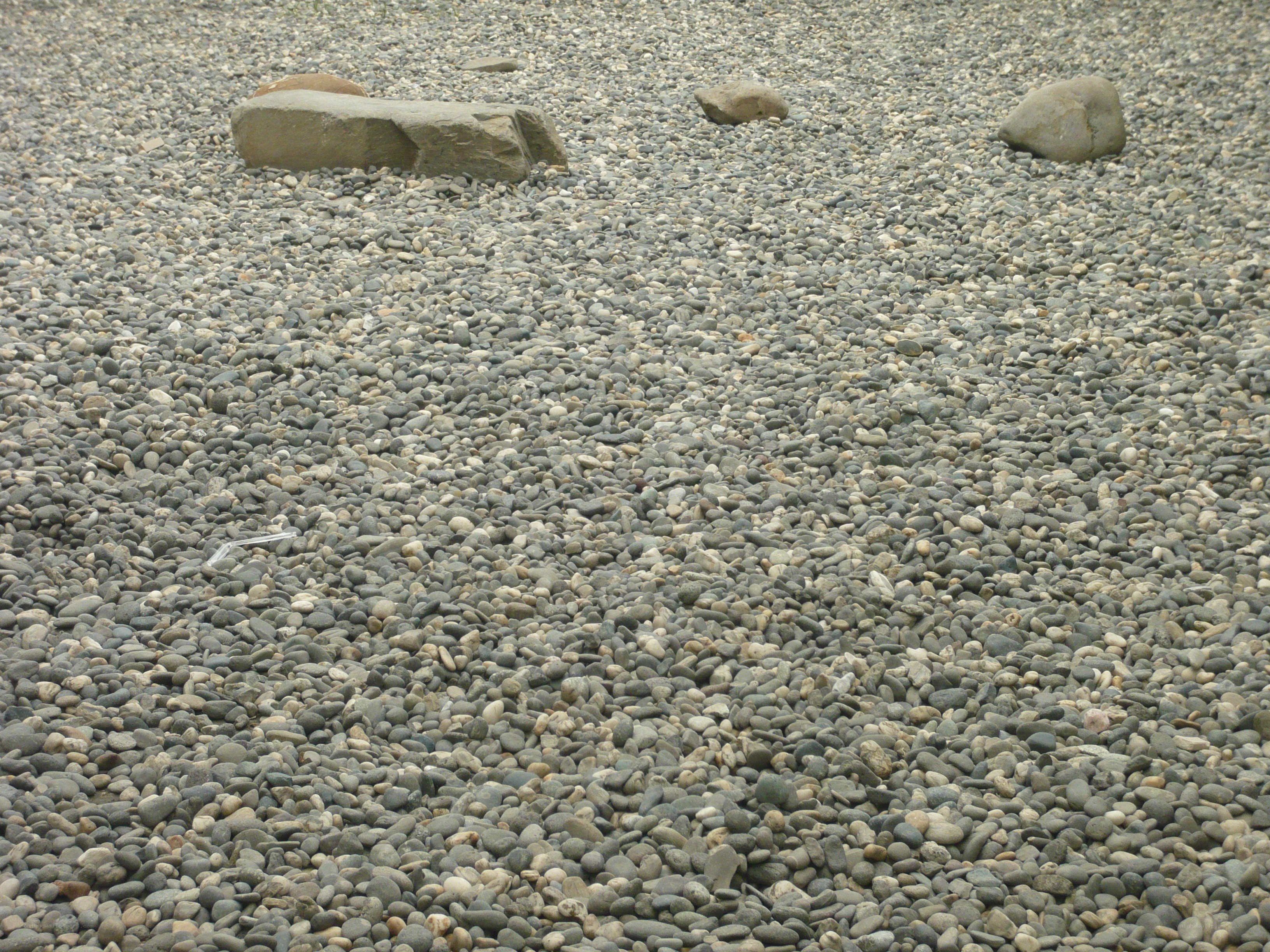pebble beach with scattered rocks